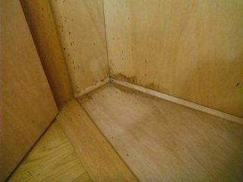 出窓周りの水染み