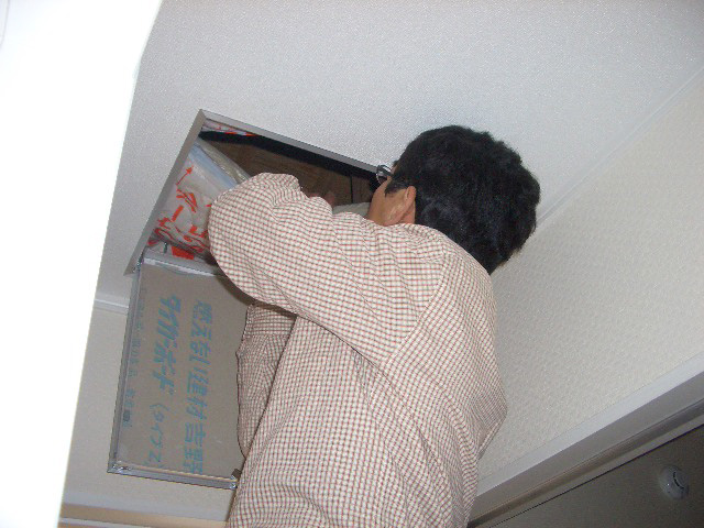 屋根裏の調査